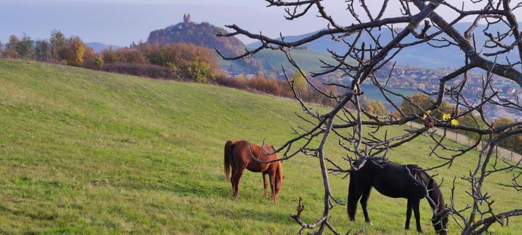 Hotel Barcadam Banská Štiavnica エクステリア 写真